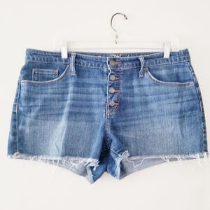 Universal Thread shorts with button fly closure